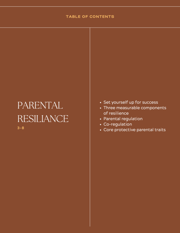 Explaining Parental Resilience (Clinician) - Image 2
